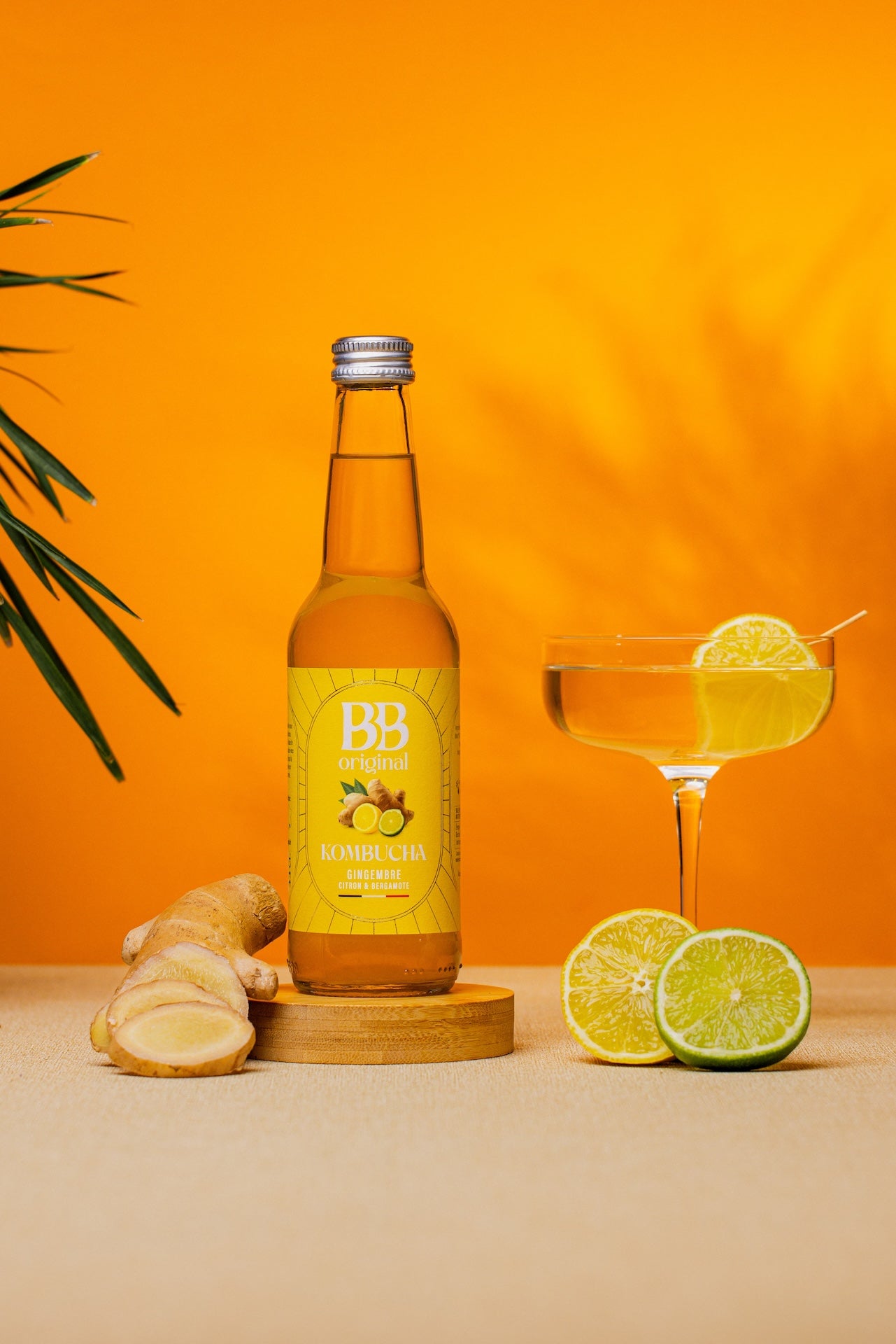 Kombucha Gingembre Citron Bergamote