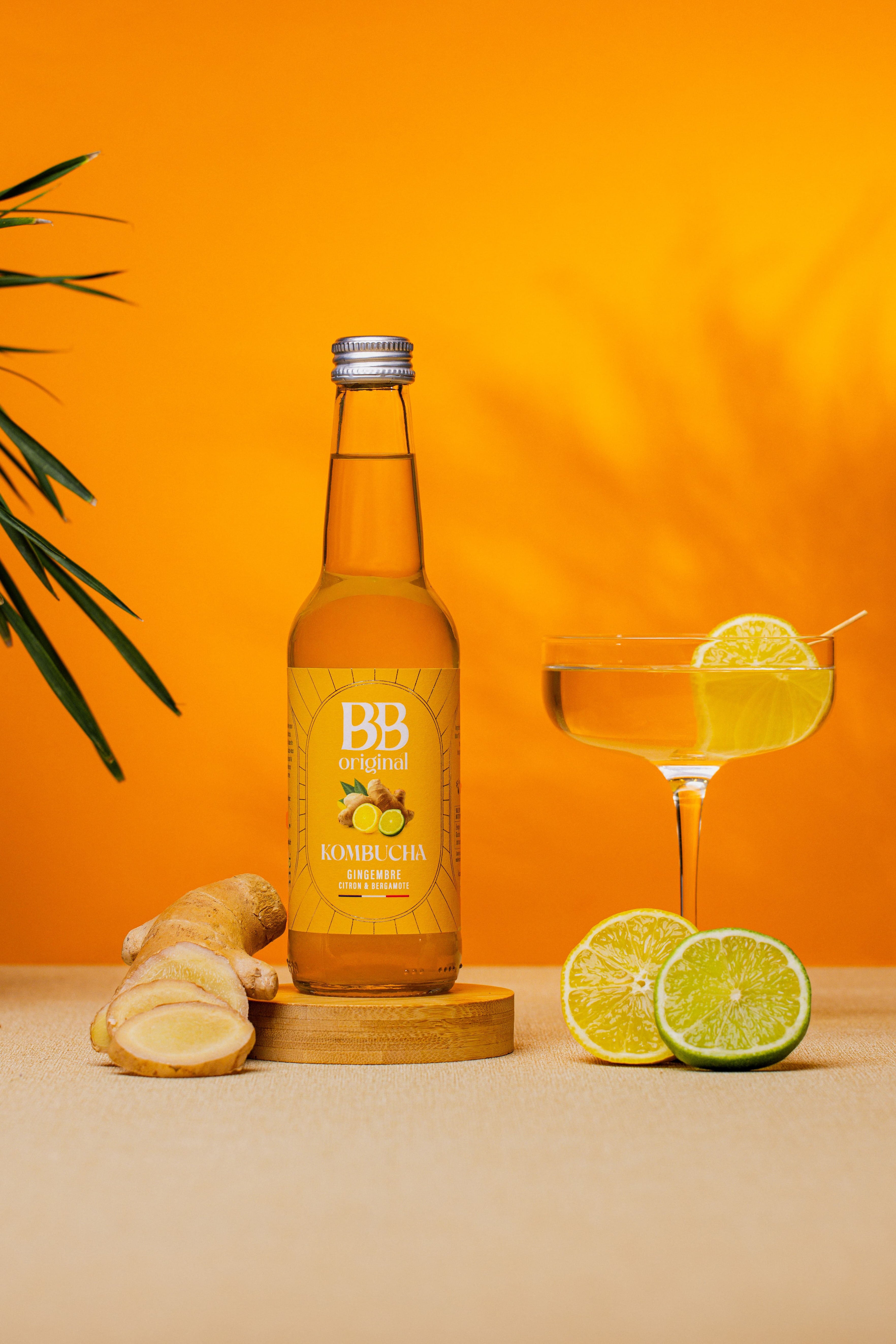 Kombucha Gingembre Citron & Bergamote