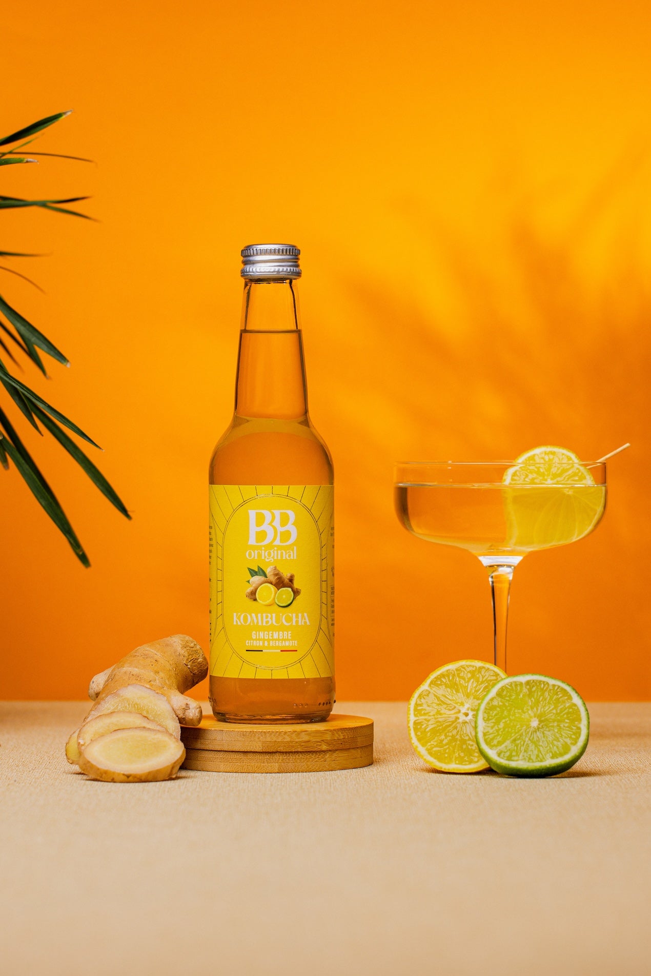 Kombucha Gingembre Citron Bergamote